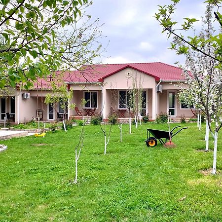 Cozy Family Cottages Vendam Extérieur photo