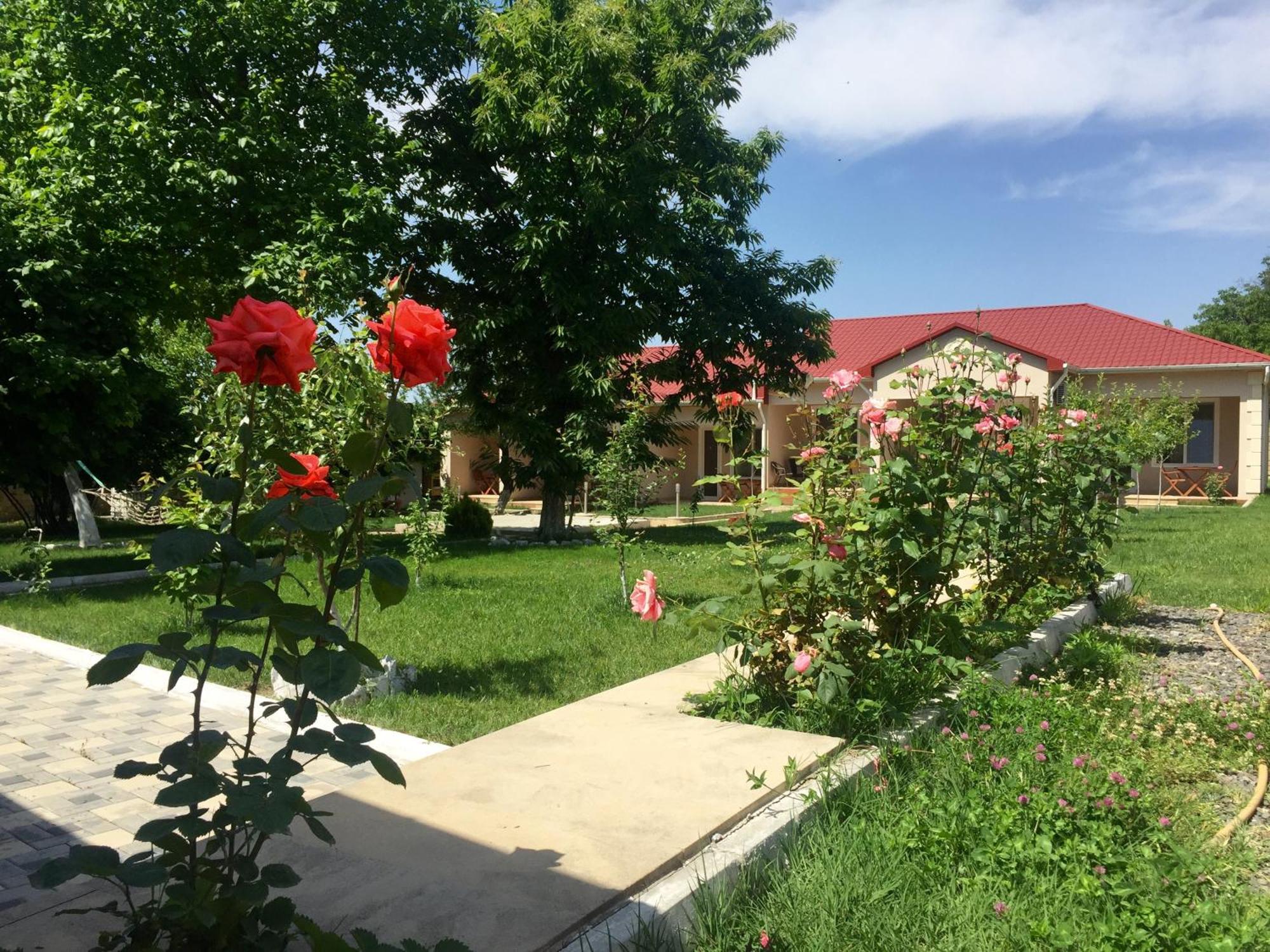 Cozy Family Cottages Vendam Extérieur photo