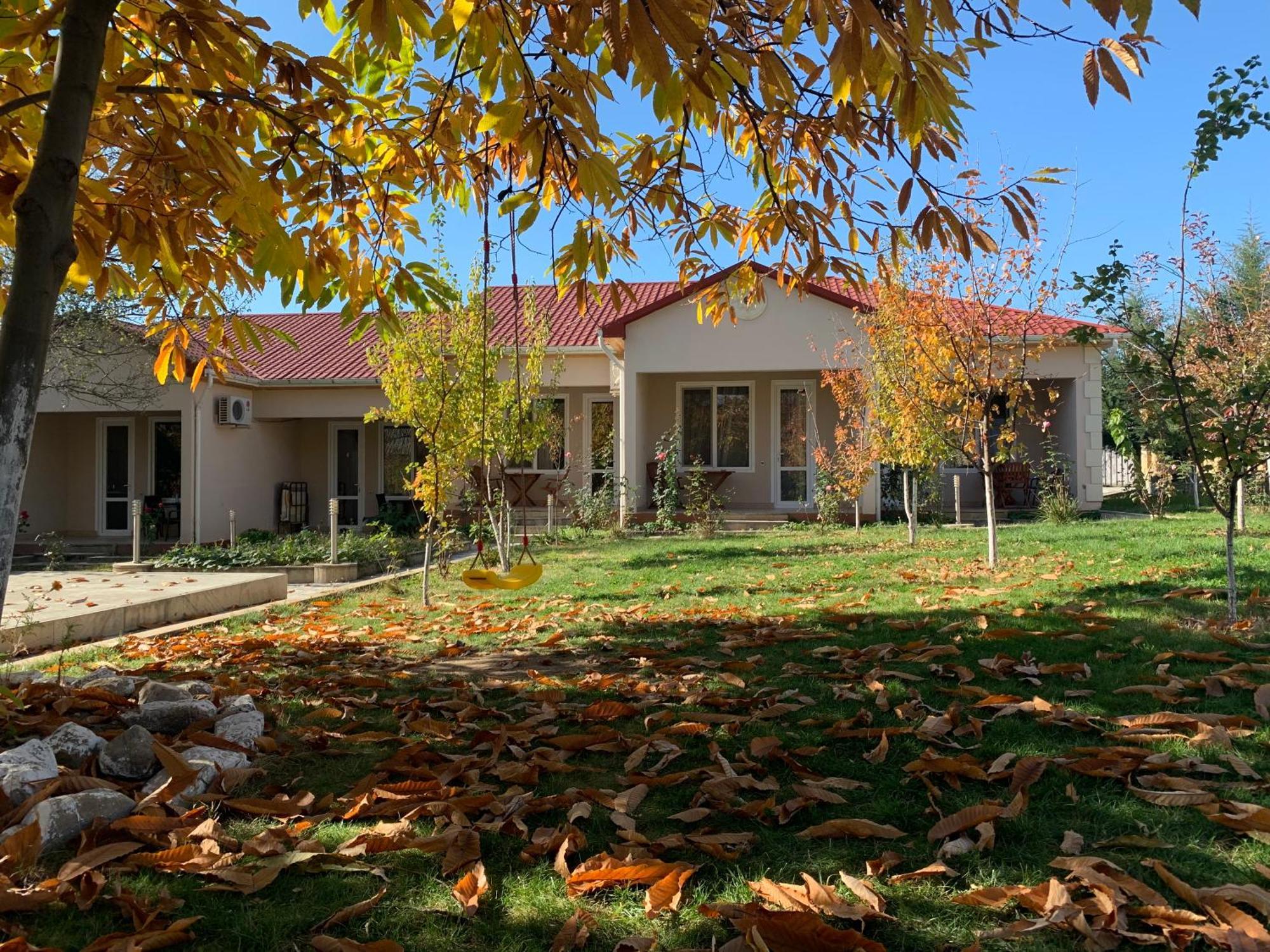 Cozy Family Cottages Vendam Extérieur photo